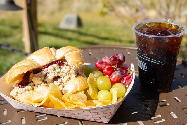 Chicken salad sandwich and a drink